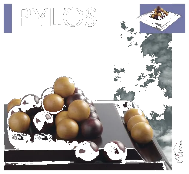 Pylos box art