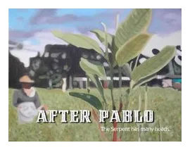After Pablo box art